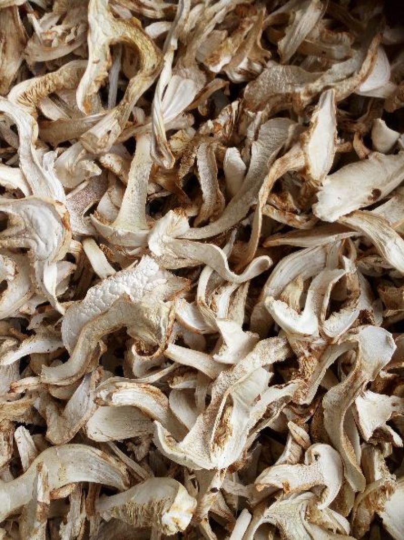 松茸干片产地直销，质量保证