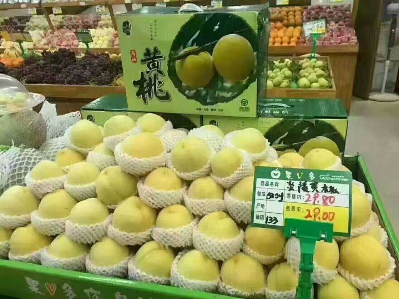 炎陵黄桃产地直供！诚招电商代理，国内包邮！