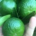 小青柑（茶果）4~5公分标准规格