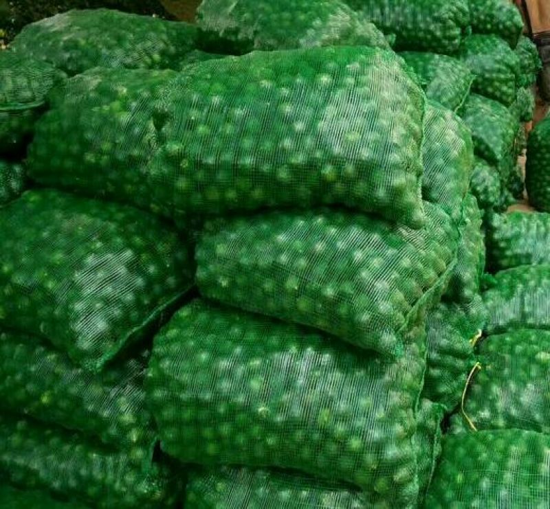 小青柑（茶果）4~5公分标准规格