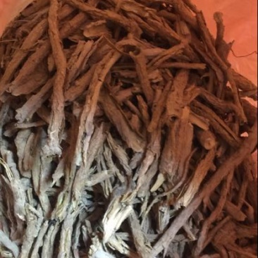 地骨皮～甘肃省天水市