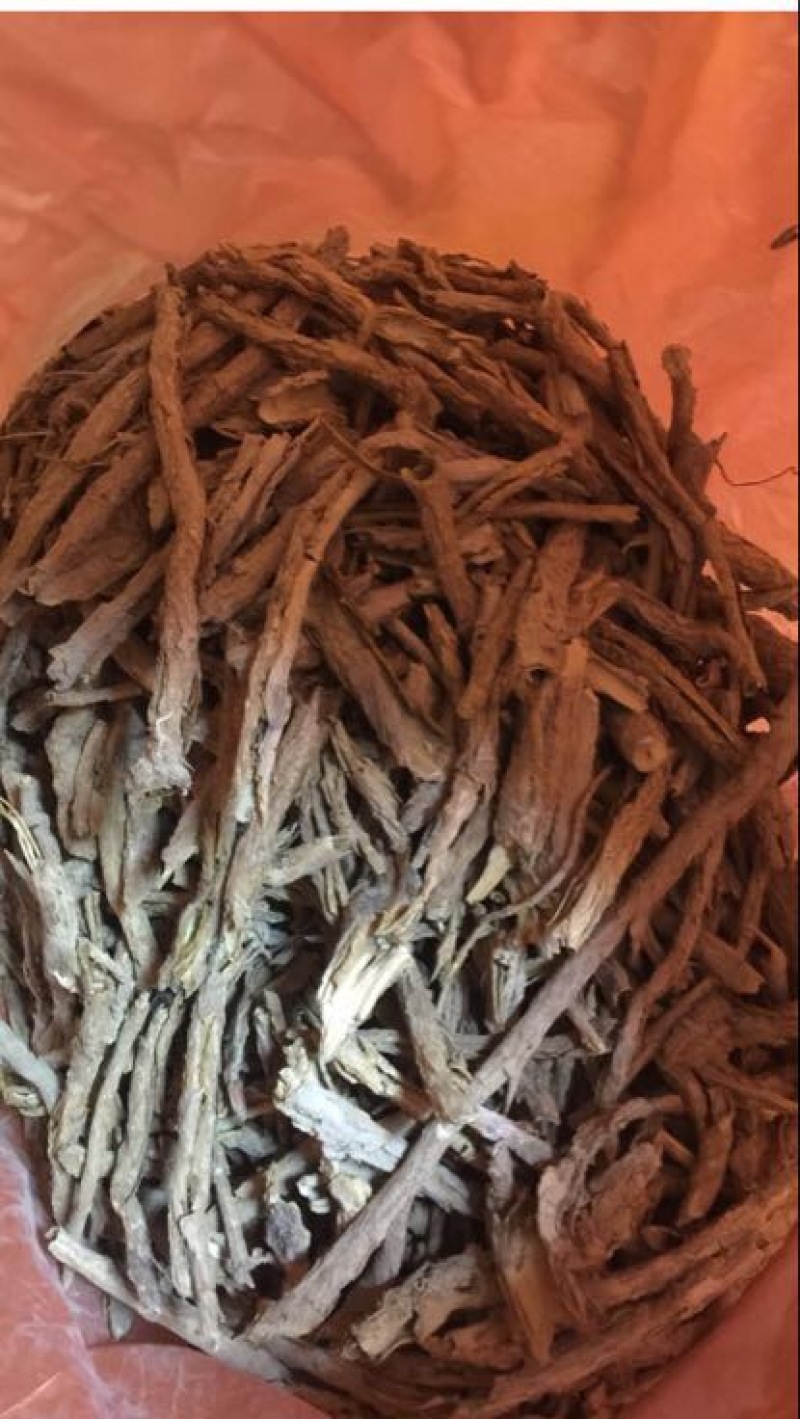 地骨皮～甘肃省天水市