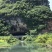 美人茭带壳
