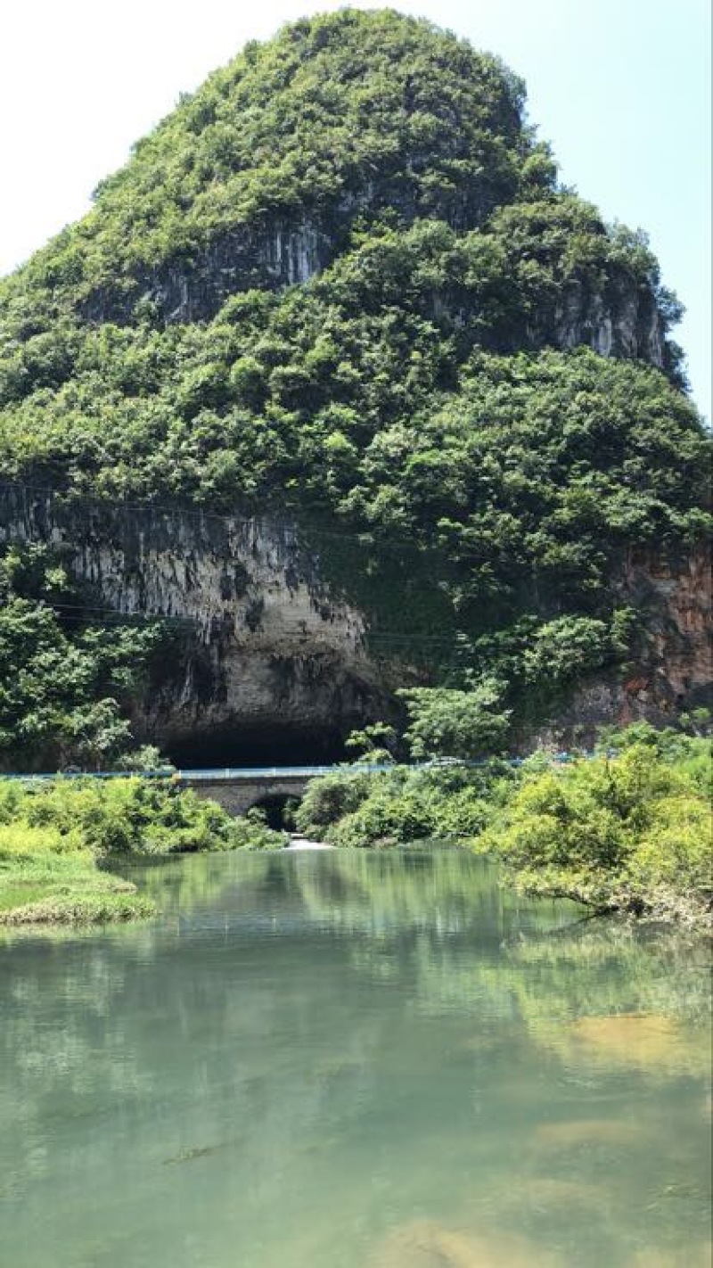 美人茭带壳