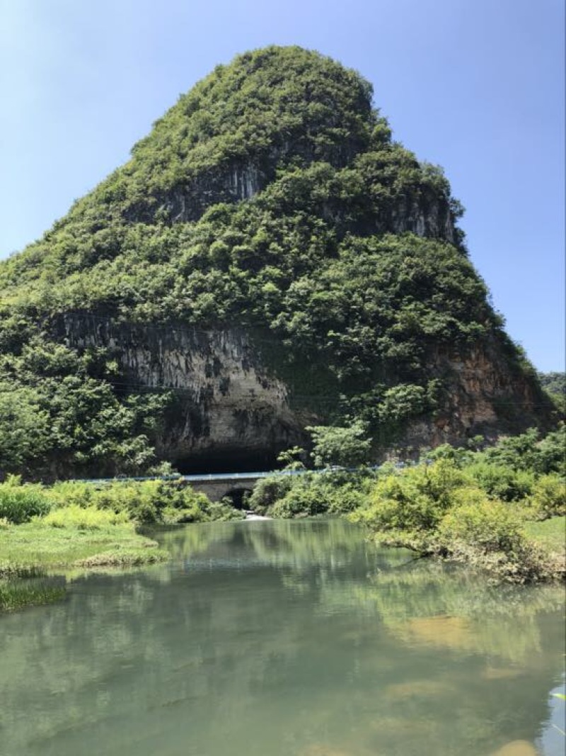 美人茭带壳