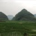 美人茭带壳