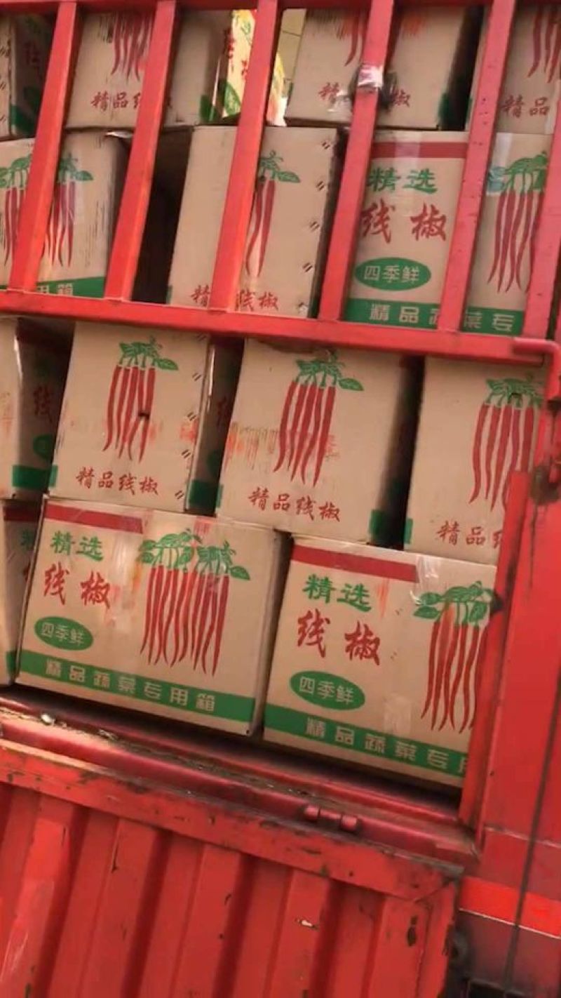 （精选）线椒，万亩产地直供，可代发全国，一手货源批。