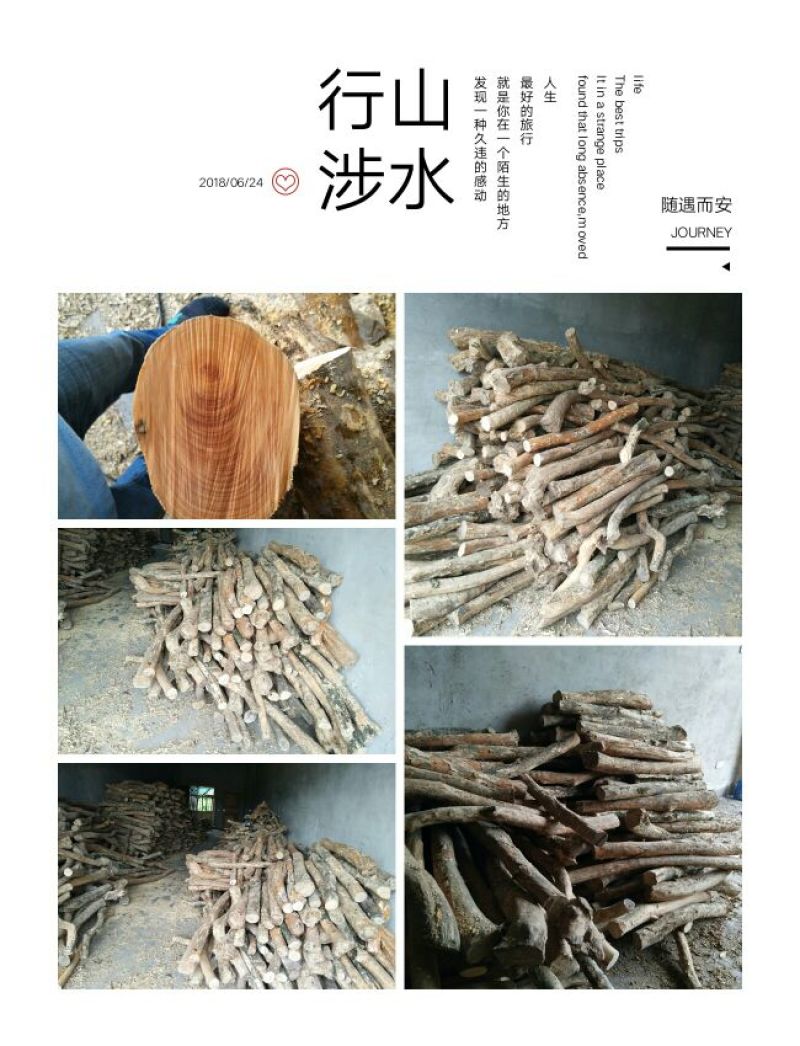 黄杨原木工艺雕刻料