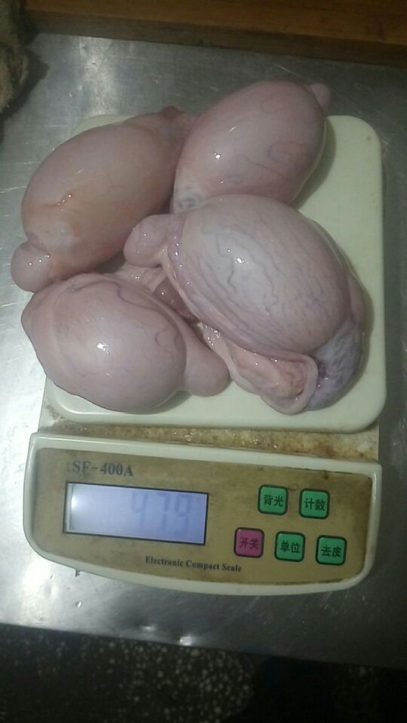 新鲜羊蛋一斤4～5个有货