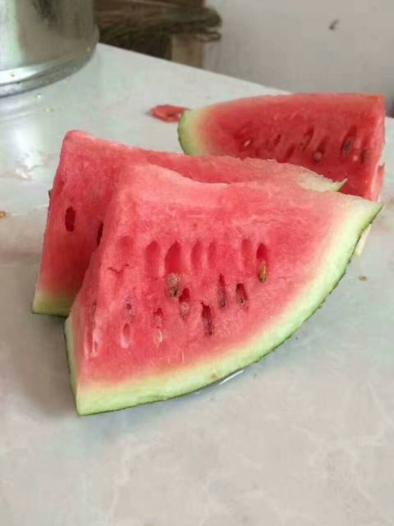 龙卷风美都大量上市中质美价廉品质保证