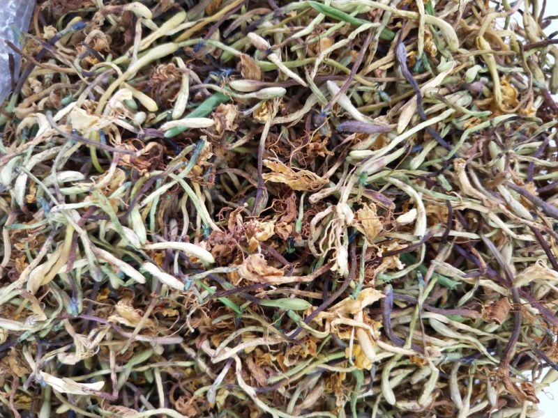 云南野生金银花，自然晒干