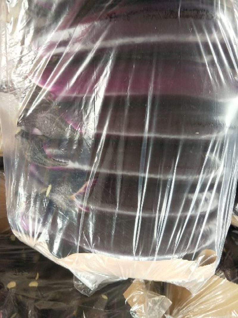 紫长茄，精品广茄大量上市中，长期合作的联系。