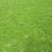 马尼拉