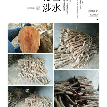 黄杨原木