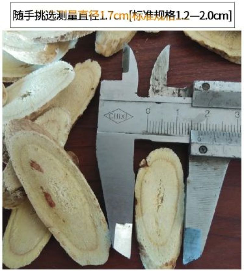 岷县黄芪片1.4cm