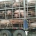 广西外三元猪，包检疫，包装车。
