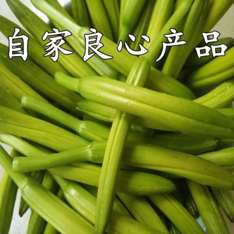 黄菜花简称金针