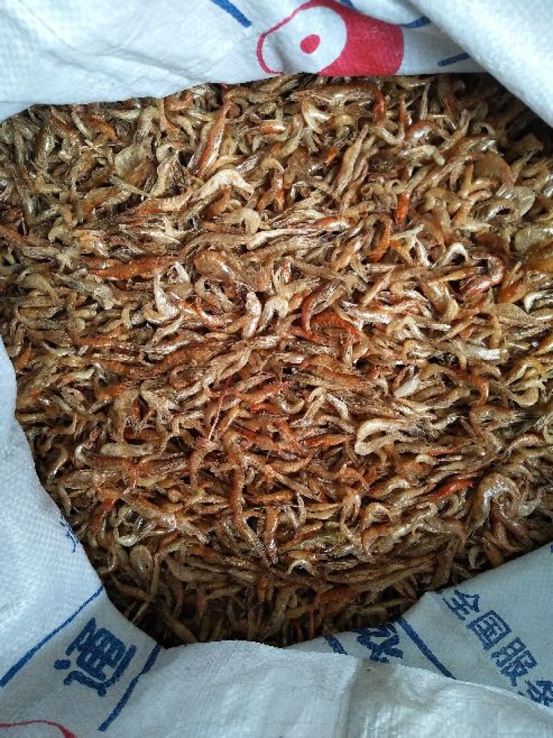 长期供应批发河虾烤虾晒虾一手货源