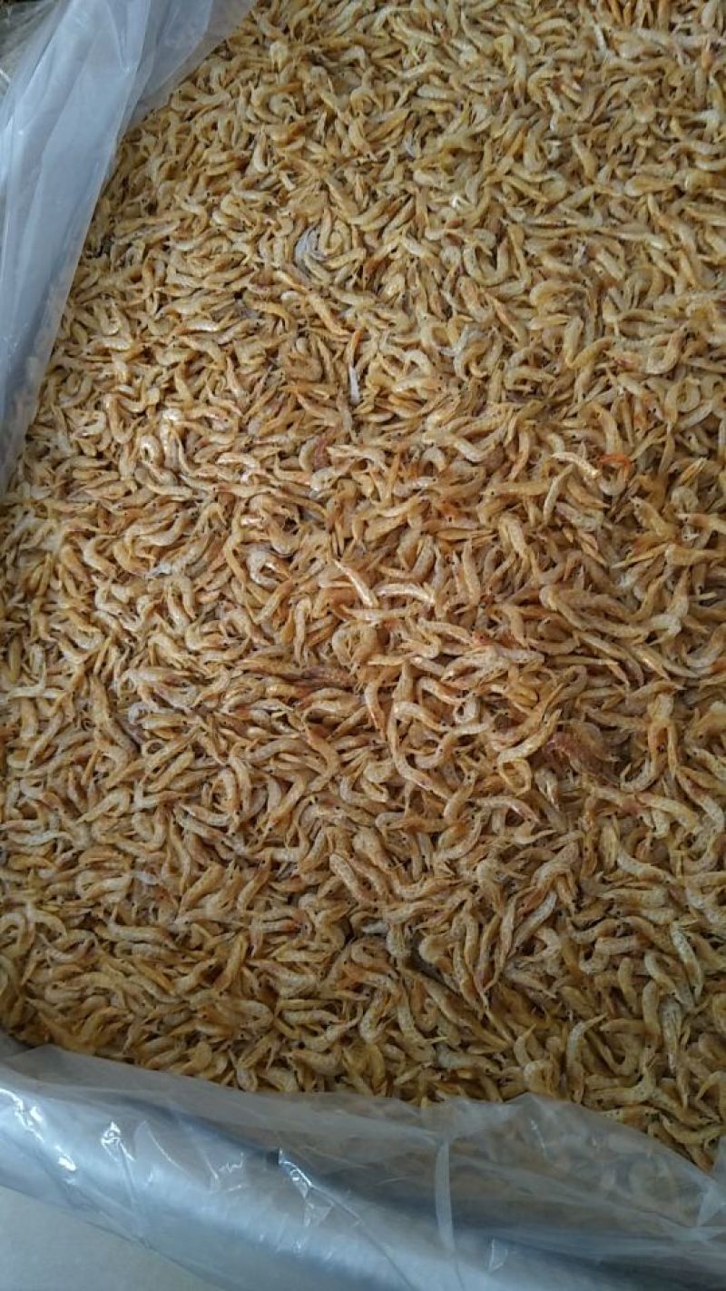 长期供应批发河虾烤虾晒虾一手货源