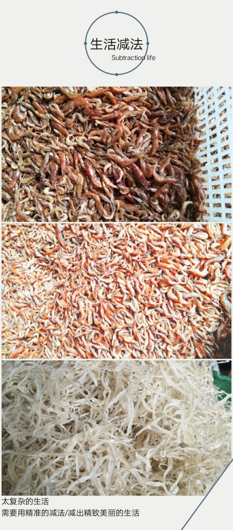 长期供应批发河虾烤虾晒虾一手货源