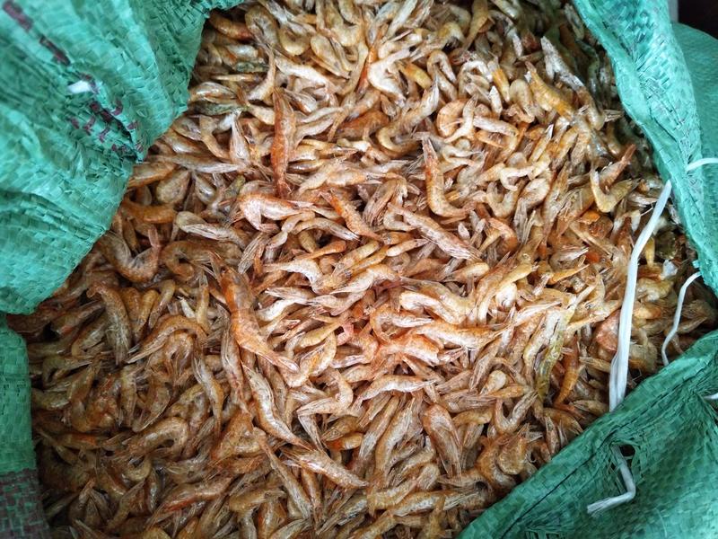 长期供应批发河虾烤虾晒虾一手货源