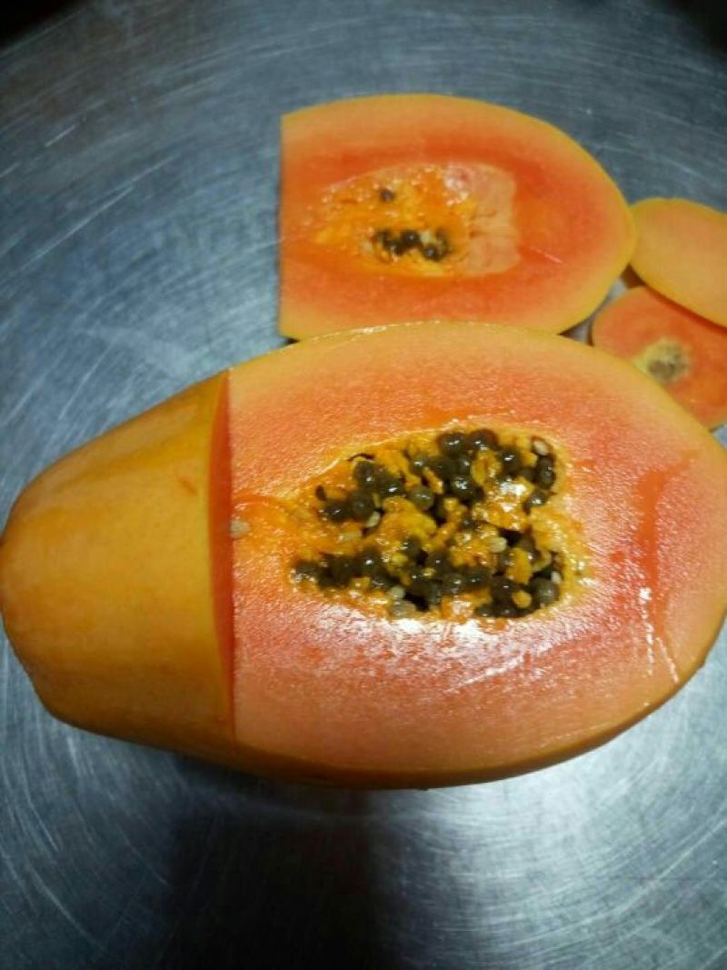 红肉水果木瓜树苗30~50cm