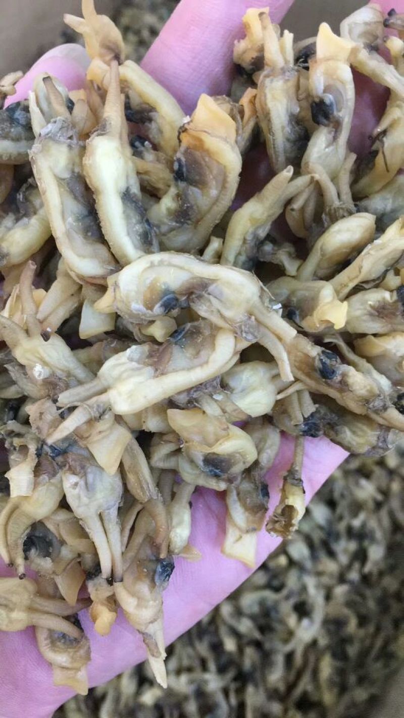 海蛏干