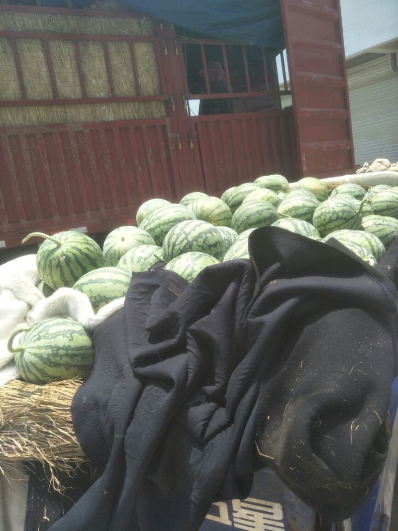 8424瓜皮薄，甜度高西瓜🍉