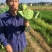 湘莲特级鲜莲子