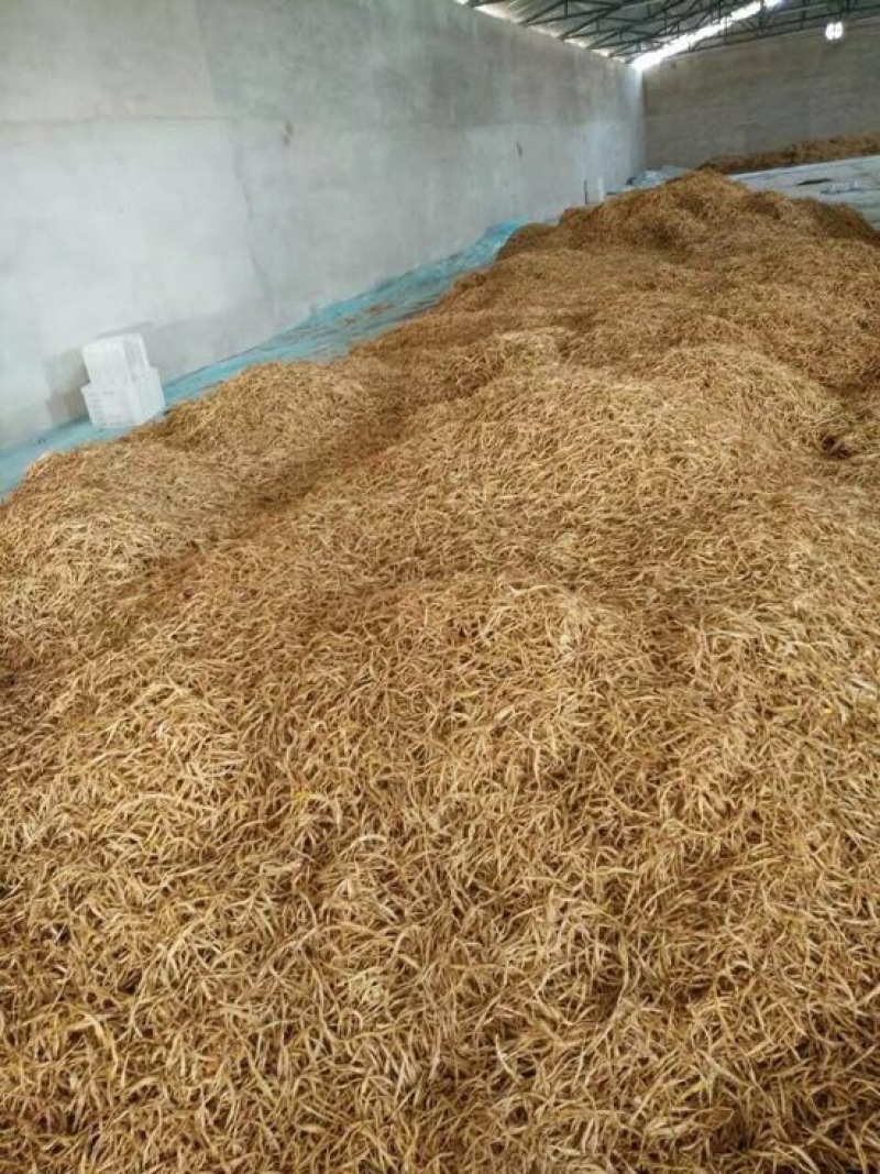 黄花菜袋装一级