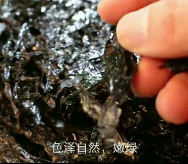 头水紫菜