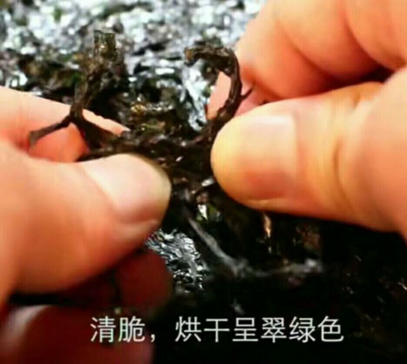 头水紫菜