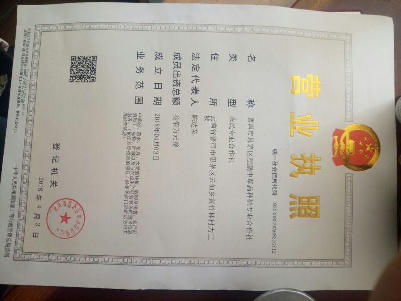 普洱石斛粉