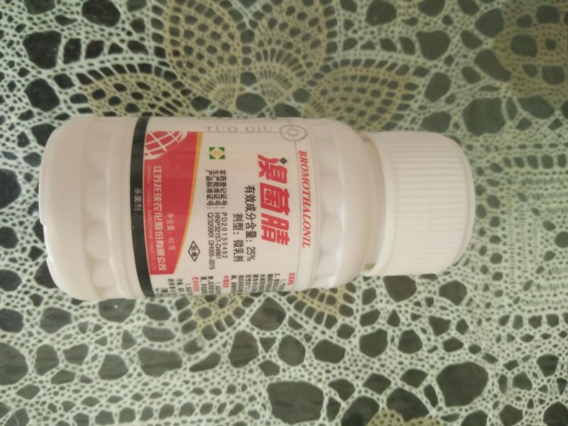 25%溴菌腈炭疽病微乳剂杀虫剂40g