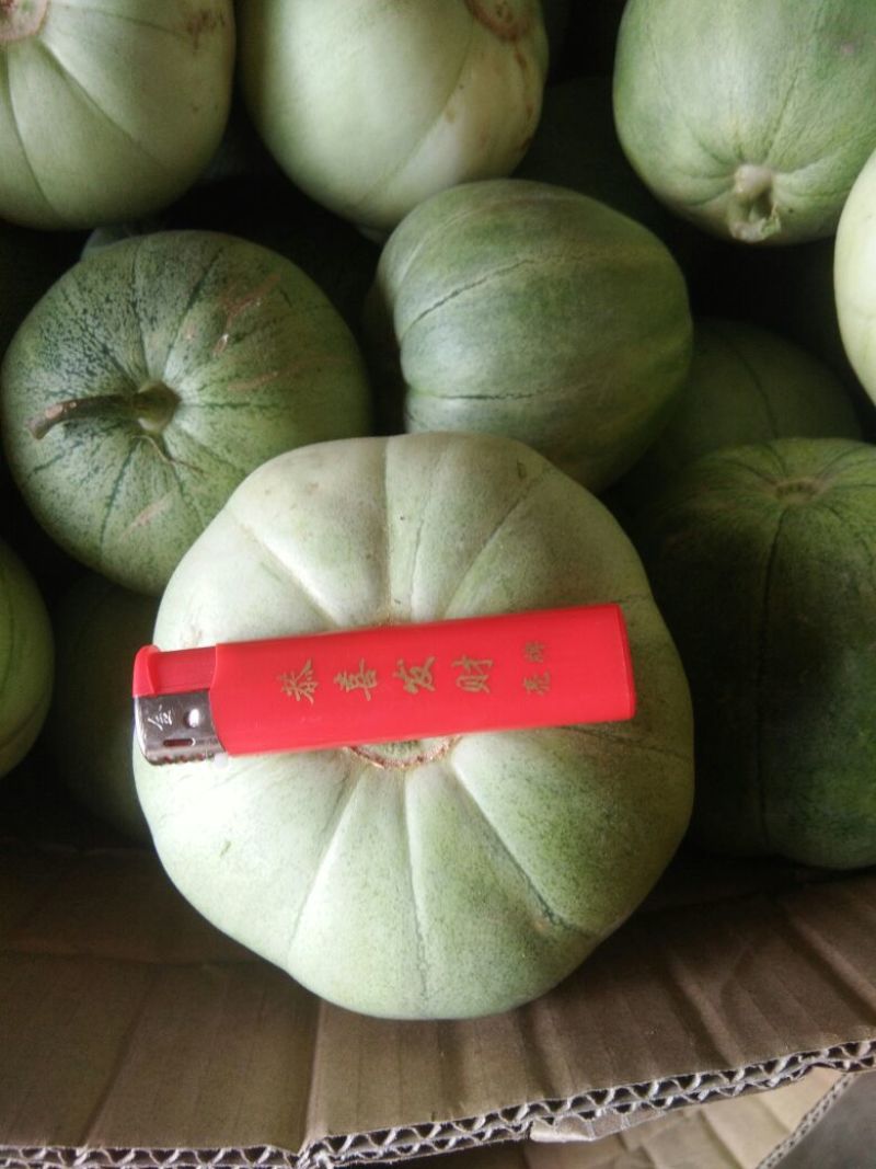甜瓜甜宝绿宝包熟，包甜，大量供应，翡翠0.5斤