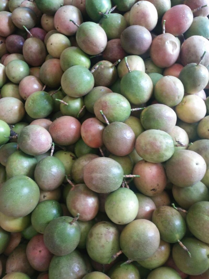 紫香百香果，一斤60--80g，