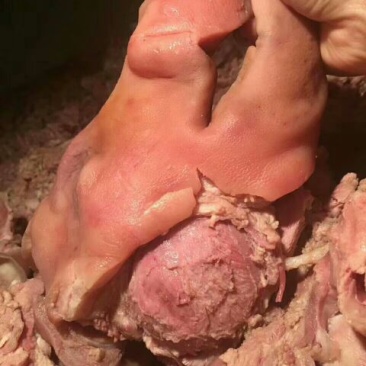 猪头肉
