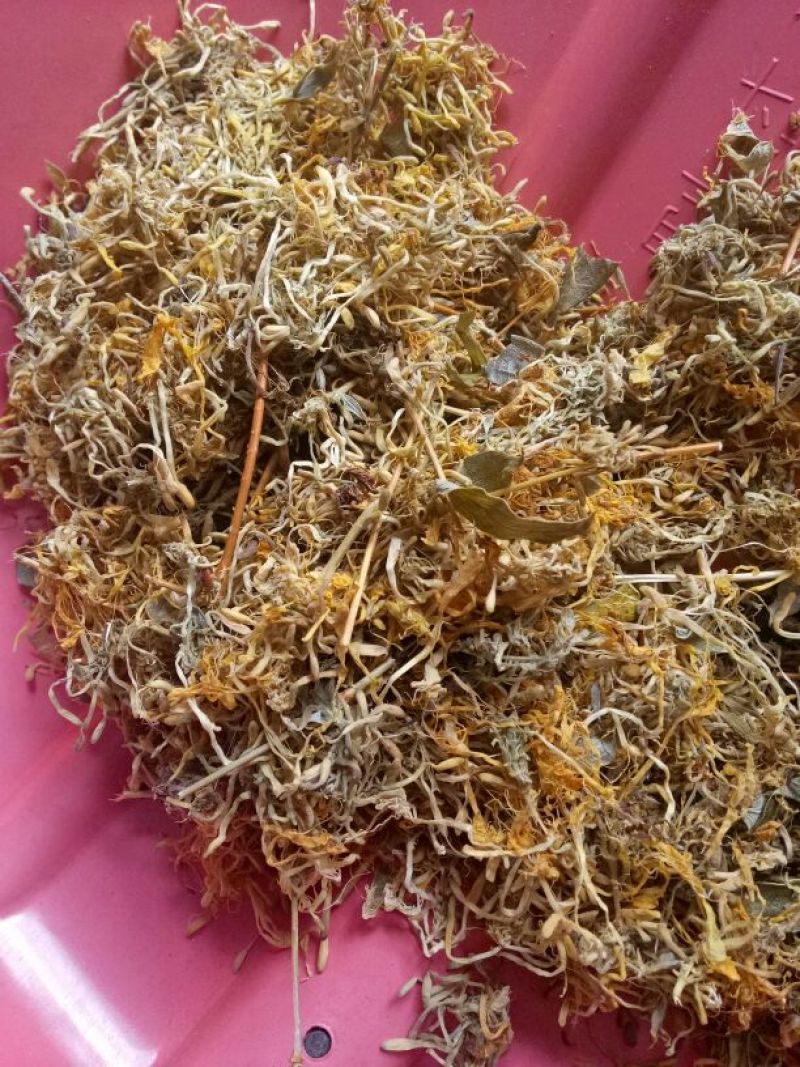 产地直销，精选茶，药用金银花，饮料厂金银