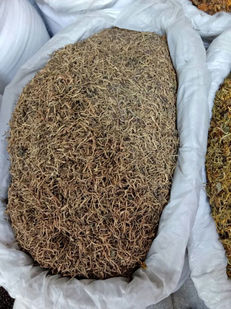 产地直销，精选茶，药用金银花，饮料厂金银