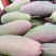 攀枝花红象牙芒果