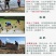 2017年黑龙江贡米农家自产正宗五常大米