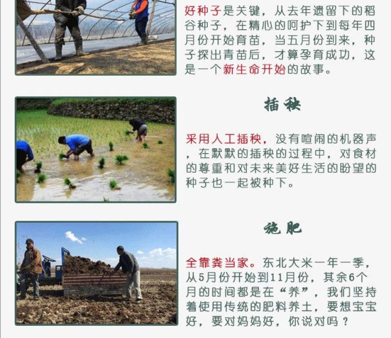 2017年黑龙江贡米农家自产正宗五常大米