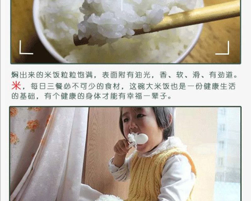 2017年黑龙江贡米农家自产正宗五常大米