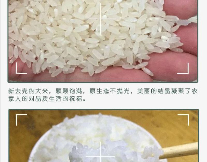 2017年黑龙江贡米农家自产正宗五常大米