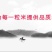 2017年黑龙江贡米农家自产正宗五常大米