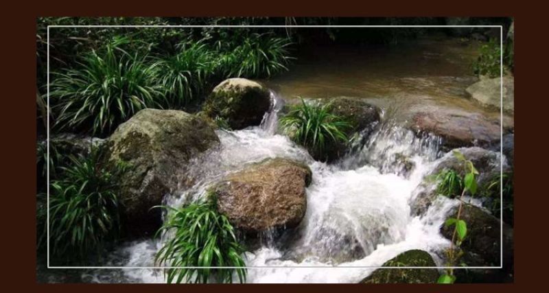 福建宁化淮土糯碎薏米（产地直发有包装)
