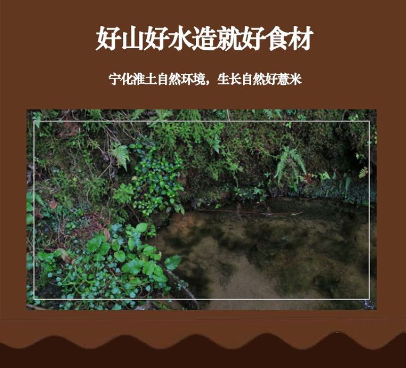 福建宁化淮土糯碎薏米（产地直发有包装)