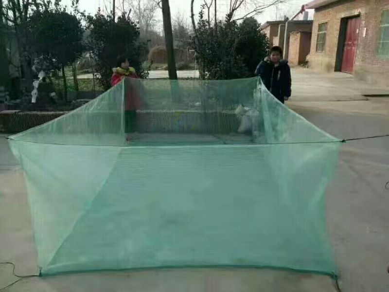 养殖网箱草鱼网箱泥鳅网箱水蛭蚂蟥养殖网箱欢迎咨询