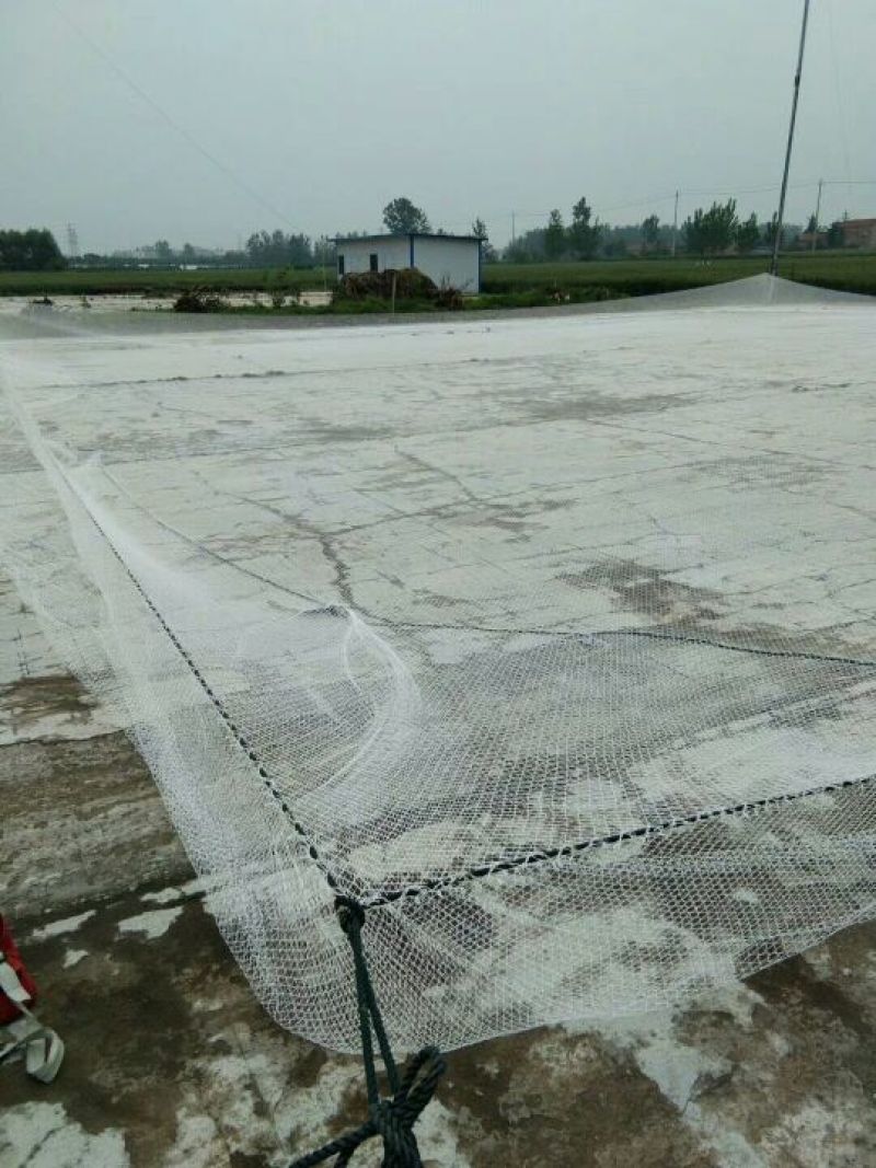养殖网箱草鱼网箱泥鳅网箱水蛭蚂蟥养殖网箱欢迎咨询