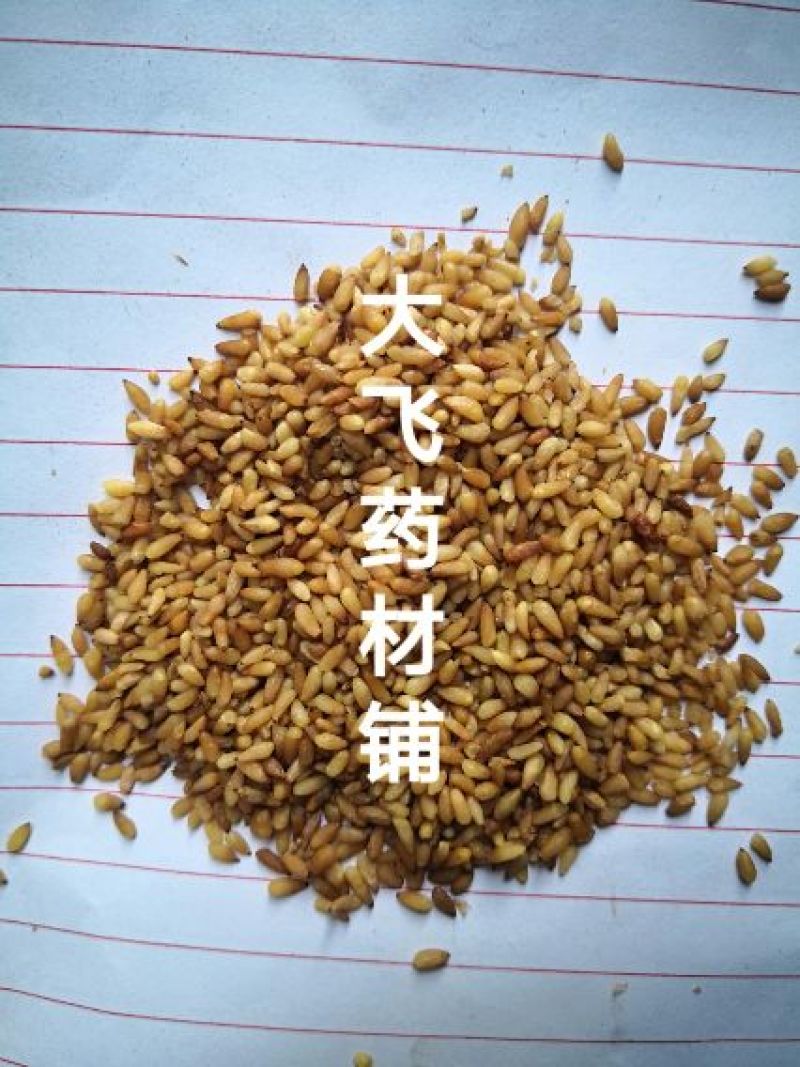柏子仁山东1公斤起批无硫无添加不包邮